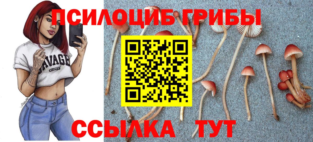 Галлюциногенные грибы ЛСД Асино