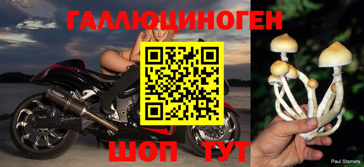 Псилоцибиновые грибы мицелий  Вход с VPN  Асино 