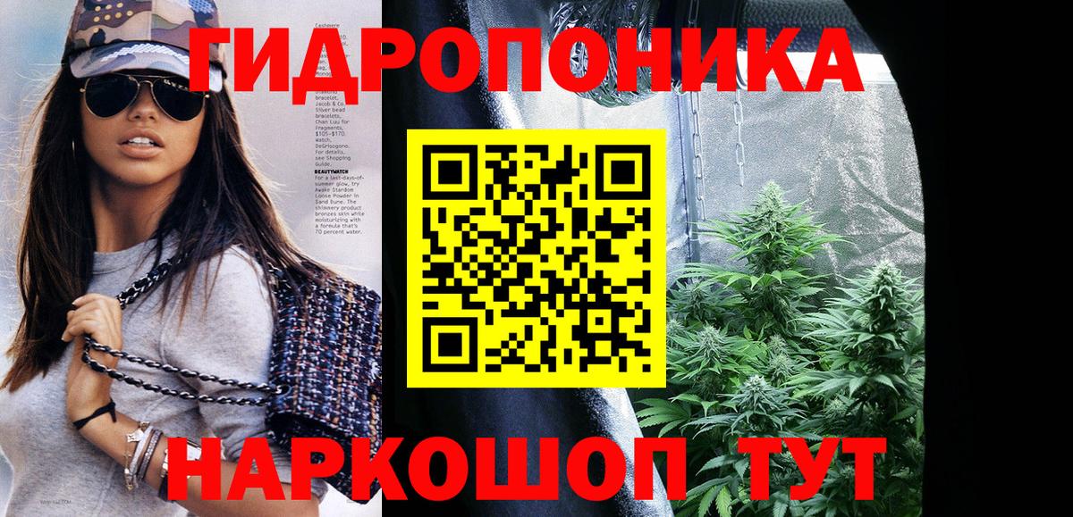 Асино  Марихуана Ganja  Конопля White Widow  Бошки Шишки THC 21%  Канабис MAZAR  Вход с VPN 